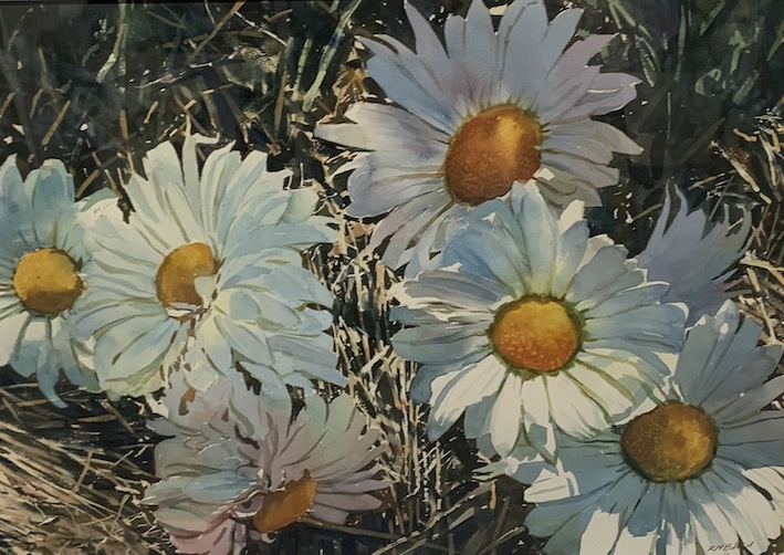 Richard Bolton|  Daisies  McAtamney Gallery and Design Store | McATamney Gallery and Design Store | Geraldine NZ 